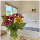 지리산터널펜션 이미지