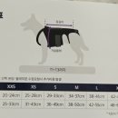 은해반려동물보조기 이미지