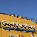 풍성원 | 평택 | 통복시장 노포감성 중국집 '풍성원'