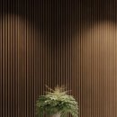 톡스앤필의원 원주점 이미지