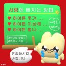 티볼리빌 이미지