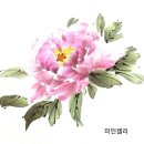 대구혁신미인캘리그라피 이미지