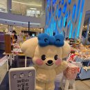문구는못말려부산장림점 | [부산 롯데백화점 팝업] 귀여운 거엔 늘 무모해! 롯데...일본 직수입 소품샵 팝업스토어 솔직후기 🧸🇯🇵