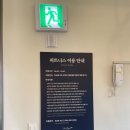테크노랜드 | 제주 에코랜드 호텔 아기랑 키즈룸·피트니스·갤러리카페 후기
