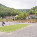 미로속으로 떠나는 역사 여행 네이버블로그