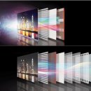 보란파마 이미지