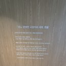 스윗스터디도서 | 🐱 수원 권선동 핫플! 고양이와 함께하는 힐링 공간, 캣플 수원아이파크시티점