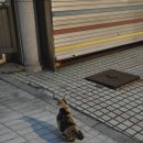 대림장여관 이미지