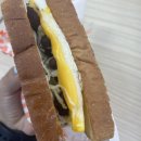 파나몬스신평점 이미지