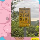 충남 서천 문수산 혼자 등산 기록 (2025.05.01.목)