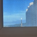 마라의샘 | 유방 조직검사 (스테레오탁틱) 맘모톰 후기 + 실비 보험 청구