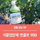 소농지 | 고추농사 비료만 쓰나요? 식물영양제 엔클로 900, 유기농업자재로 관리한 후기