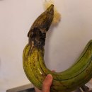 이병준농장 이미지