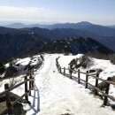 지리산봄날