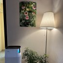 동일컴퍼니 이미지