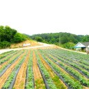 충주주덕공인중개사사무소 이미지