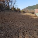 녹지부동산공인중개사사무소 이미지