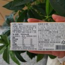 티스바이오 이미지