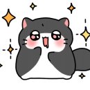모니드 이미지