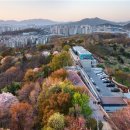 건축사사무소 자연 이미지