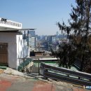 둔철산얼레지피는마을 | 경기 광명 도덕산 출렁다리와 구름산, 가학산 연계 산행(2023.2.8)