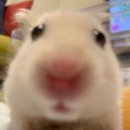 구성슈퍼
