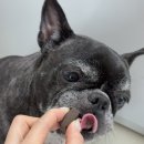 완정농장 이미지