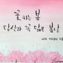 아마티보 이미지