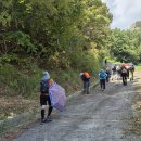 남파랑길 14코스 충무 도서관~손덕마을~창포마을~공얄산임도~황리 사거리 (역방향) 이미지
