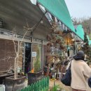 부산 캠크닉이 가능한 셀프 바베큐장 늘푸른숲 내돈내산 후기