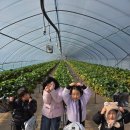 금강태권도 효교육관(산현관) 이미지