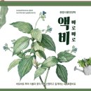 굿드림디자인 이미지