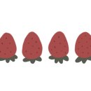 내사랑딸기 이미지