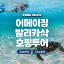 어메이징홈케어 | 보홀 여행 호핑투어 어메이징 발리카삭 버진아일랜드 돌고래 거북이 픽드랍 포함 솔직 후기목차