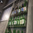 사이언스랩사송점과학학원 | 약대편입 [1] : 내가 약대 편입을 생각하게 된 이유는