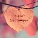 벨리댄스 초급 이미지