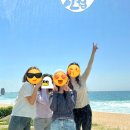 [강원도 묵호] 묵호 1박2일 여행 뚜벅이 코스 경비 우정여행