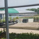 진해꽃식물원 이미지