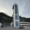 동백 | 여수 오동도 산책 및 동백열차 가격, 탑승 후기