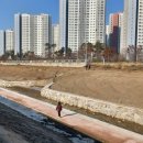 삼미천 이미지