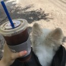 비오는 날엔 플레이버나인틴