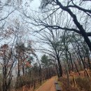 계남공원(배드민턴장) 이미지