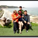 경산압량초등학교 이미지