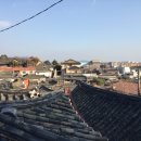 멍이하루 이미지