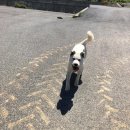 동석농장 이미지