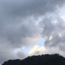 구름이네카페