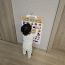 이지앤판 사운드벽보 돌아기 내돈내산 구입후기