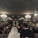 로젤리스냅