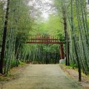 담양오방길5코스(누정길) | 전남 담양 가볼만한 곳 죽녹원 관람 코스 입장료