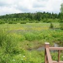 백두산화원 이미지